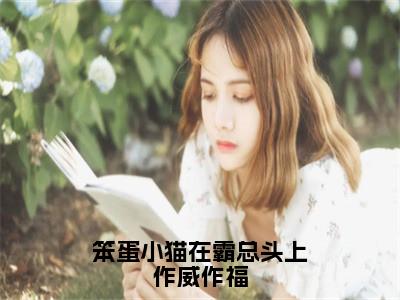 笨蛋小猫在霸总头上作威作福（霍瑾霍绵绵）全文无弹窗阅读-笨蛋小猫在霸总头上作威作福（霍瑾霍绵绵）最新章节完整版阅读